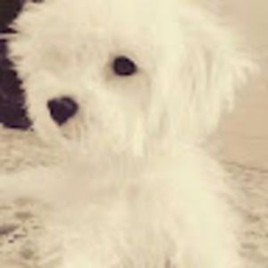 Meet your Posher, Emmanuel